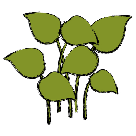 Leafs plants garden icon vector illustration designのイラスト素材