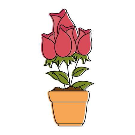 beautiful roses in pot vector illustration designのイラスト素材