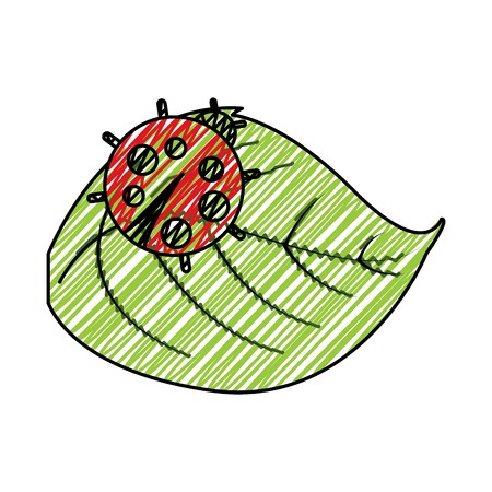 cute ladybug in leaf natural wildlife animal vector illustrationのイラスト素材