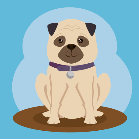 dog bred pet friendly vector illustration designのイラスト素材