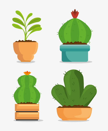 cute houseplant in pot vector illustration designのイラスト素材