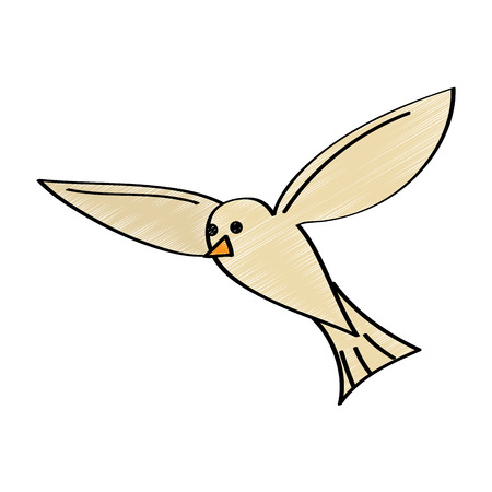 Flying Seagull Bird black silhouette isolated on white background.のイラスト素材