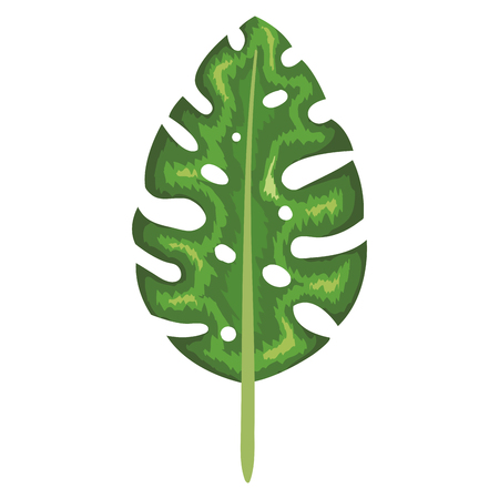 tropical leaf palm icon vector illustration designのイラスト素材