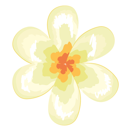 tropical and exotic flower decorative vector illustration designのイラスト素材