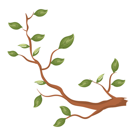 tree branch plant icon vector illustration designのイラスト素材