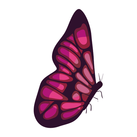 beautiful butterfly decorative icon vector illustration designのイラスト素材