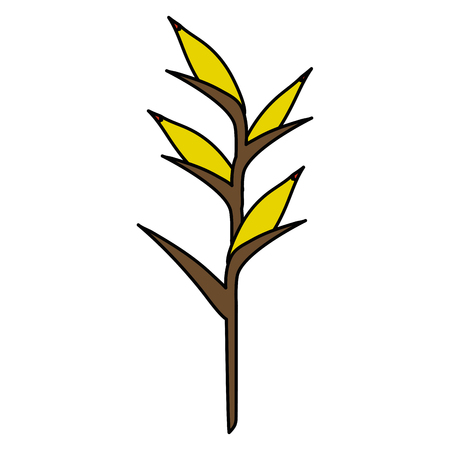 tropical and exotic heliconia vector illustration designのイラスト素材