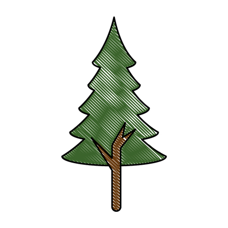 Pine tree plant isolated icon vector illustration designのイラスト素材