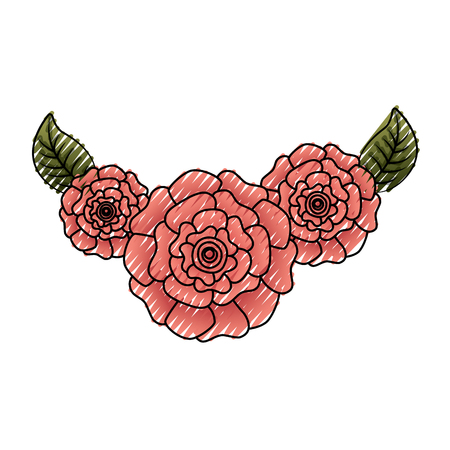 cute fresh natural flowers carnation leaves vector illustrationのイラスト素材