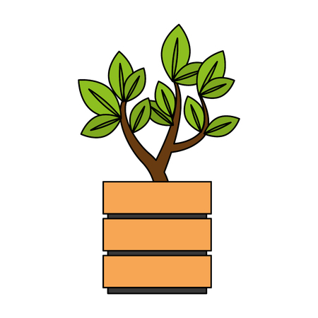 beautiful bonsai houseplant in pot vector illustration designのイラスト素材