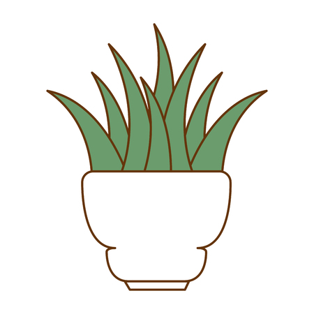 beautiful houseplant in pot vector illustration designのイラスト素材