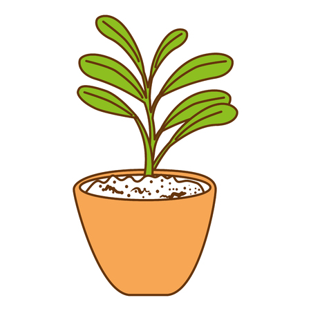 beautiful houseplant in pot vector illustration designのイラスト素材