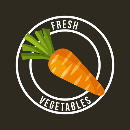 carrot fresh organic food emblem image vector illustration designのイラスト素材