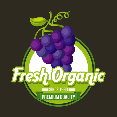 fresh organic food emblem image vector illustration designのイラスト素材