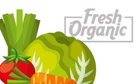 Vegetables lettuce tomato carrot fresh organic healthy banner vector illustrationのイラスト素材