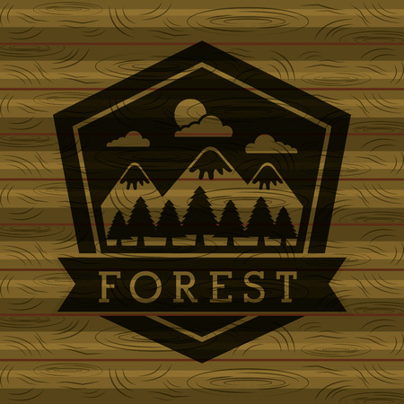 forest outdoor camp moountains trees label wooden background vector illustrationのイラスト素材