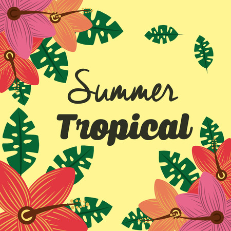 summer tropical hibicus flowers decoration vector illustrationのイラスト素材
