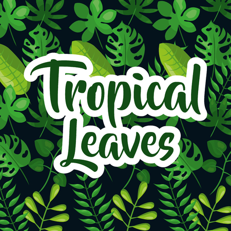 Tropic leaves background with frame for your text. texture vector.のイラスト素材
