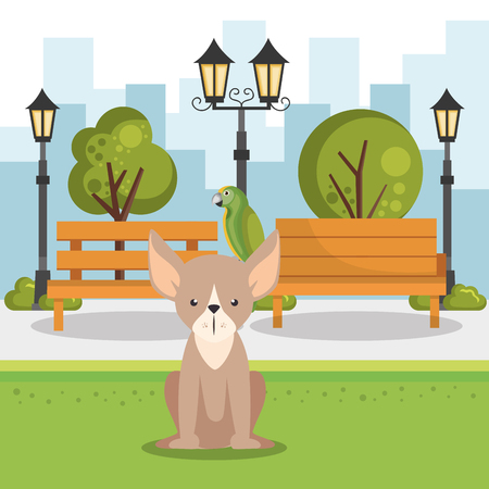 cute dogs in the park scene vector illustration designのイラスト素材