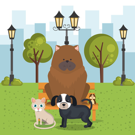 cute mascots pet shop icons vector illustration designのイラスト素材