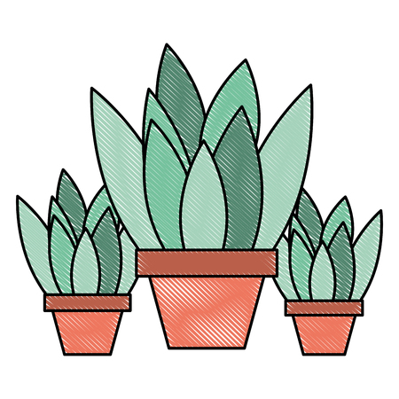 Set of potted plants vector illustrationのイラスト素材