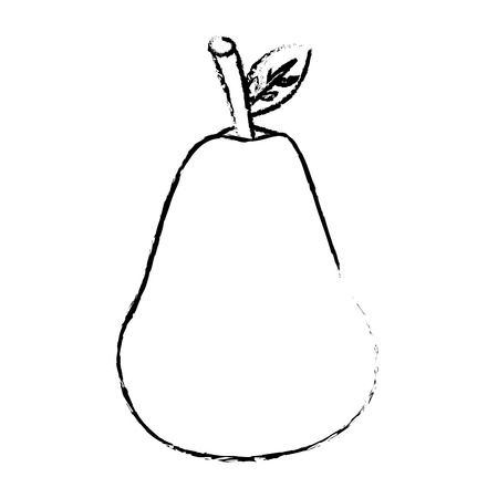 pear fruit nutrition diet fresh healthy lifestyle vector illustration sketch imageのイラスト素材
