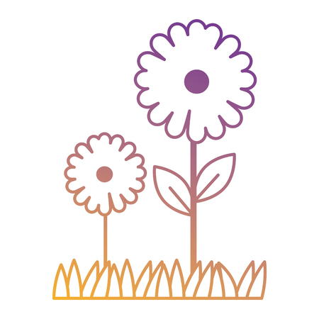 beautiful sunflower cultivated icon vector illustration designのイラスト素材