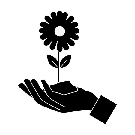 hand with beautiful sunflower vector illustration designのイラスト素材