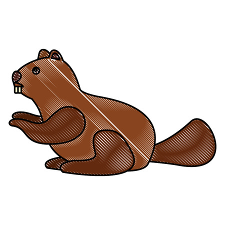beaver rodent mammal wildlife fauna vector illustration drawing colorのイラスト素材
