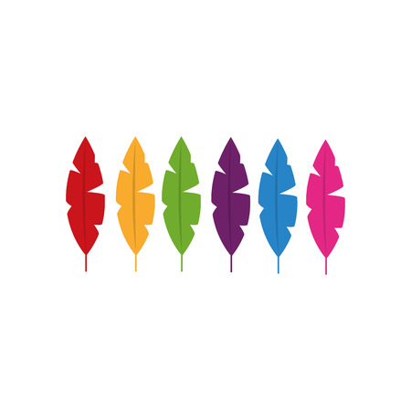An isolated set of feather design in different colors.のイラスト素材