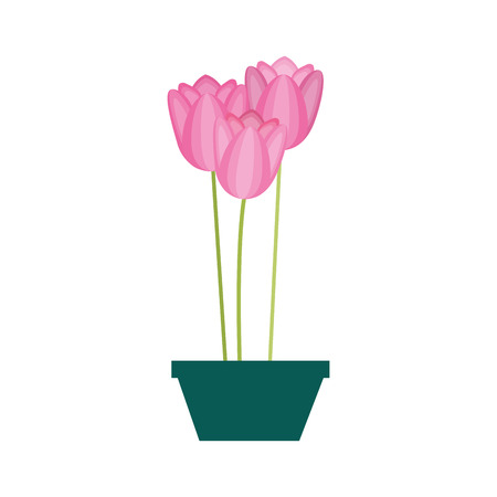 flowers tulips in a pot decorative vector illustration designのイラスト素材