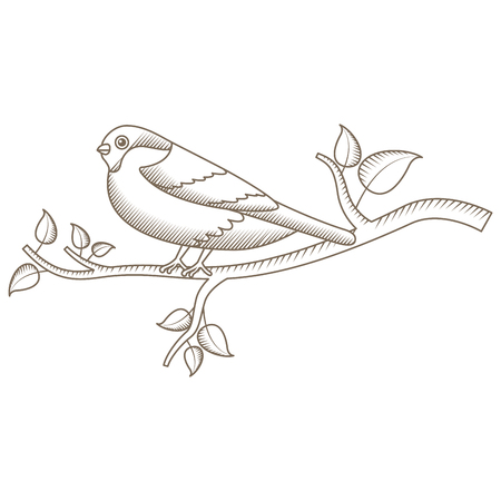 cute bird with tree branch vector illustration designのイラスト素材