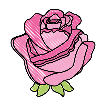 Rose flower decorative icon vector illustration designのイラスト素材