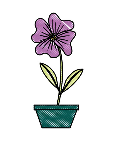 flower periwinkle in a pot decorative vector illustration designのイラスト素材