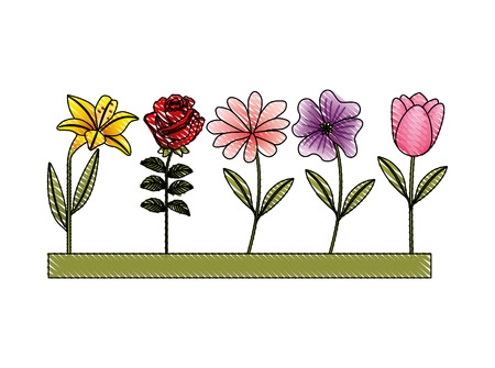 garden of cute flowers vector illustration designのイラスト素材