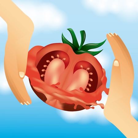 la tomatina hands catch tomatoes splash celebration vector illustrationのイラスト素材