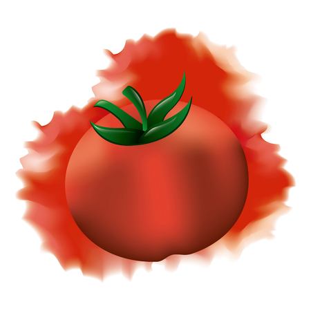 tomato ripe fresh vegetable splash watercolor vector illustrationのイラスト素材