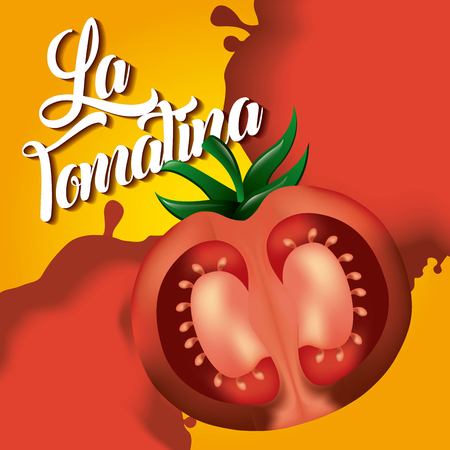 la tomatina half red tomato splash fest vector illustrationのイラスト素材