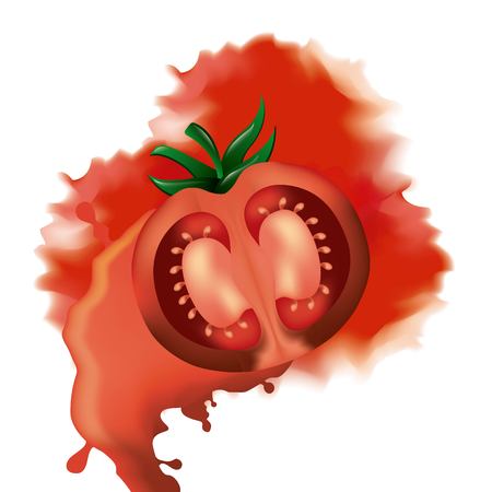 la tomatina smash tomato war festival vector illustrationのイラスト素材