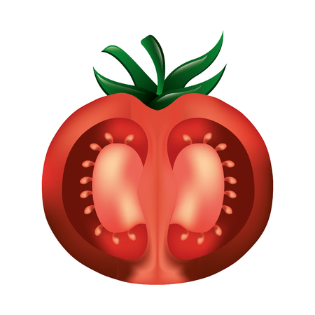 half tomato fresh healthy food vector illustration designのイラスト素材