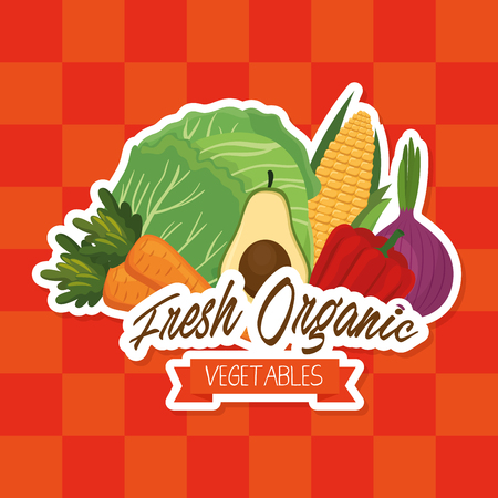 fresh vegetables organic and healthy food vector illustration designのイラスト素材