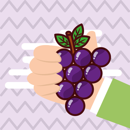 Hand holding grapes fresh colored background vector illustrationのイラスト素材