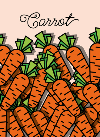 vegetable carrot fresh healthy food poster vector illustrationのイラスト素材