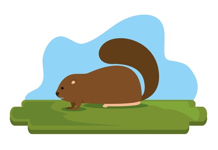 Beaver animal  illustration designのイラスト素材