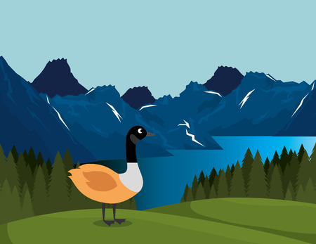 canadian landscape with duck scene vector illustration designのイラスト素材
