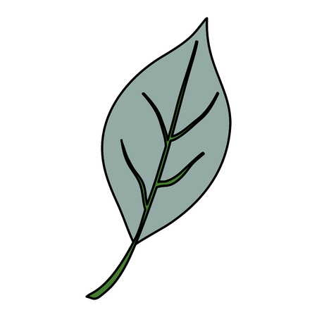 leaf single decorative icon vector illustration designのイラスト素材