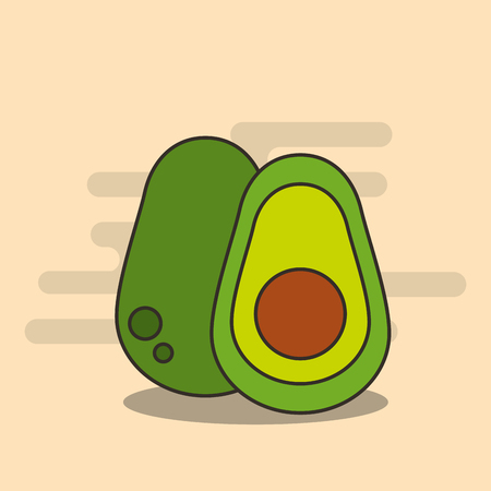 half avocado harvest nutrition diet vector illustrationのイラスト素材