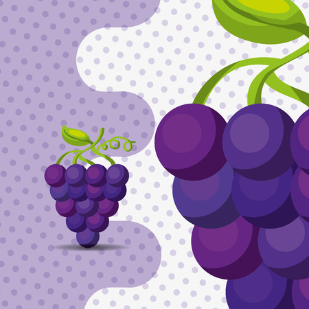 fresh fruit natural bunch grapes on dots background vector illustrationのイラスト素材