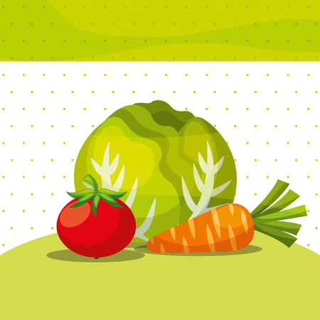 vegetables fresh organic healthy lettuce carrot tomato vector illustrationのイラスト素材
