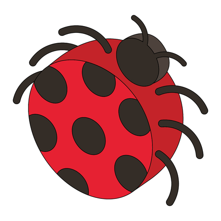 ladybug insect isometric icon vector illustration designのイラスト素材